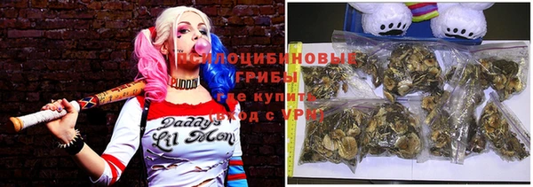 амф Арсеньев