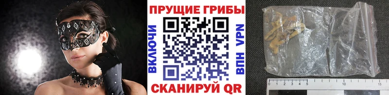 MEGA ТОР  даркнет клад  Уварово  Галлюциногенные грибы Psilocybe  наркотики 